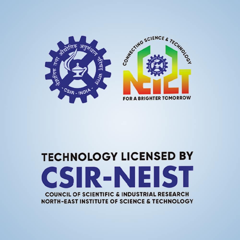 Ortho Balm - Ayurvedic Pain Relief Balm for Joint pain (Pack of 20)