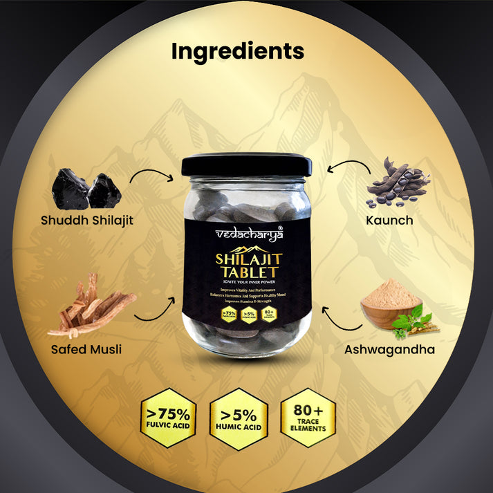 Shilajit Tablets